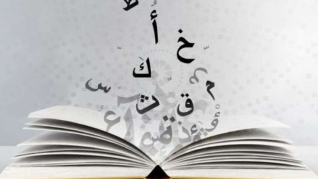 أضواء على نشأة علم النحو العربي