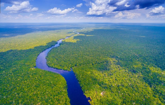 الأمازون.. نهر الغابات الضخمة