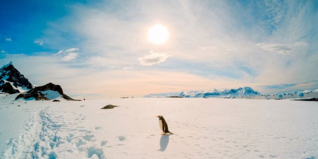 قارات العالم: القارة القطبية الجنوبية