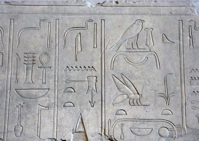 ما هو علم المصريات؟