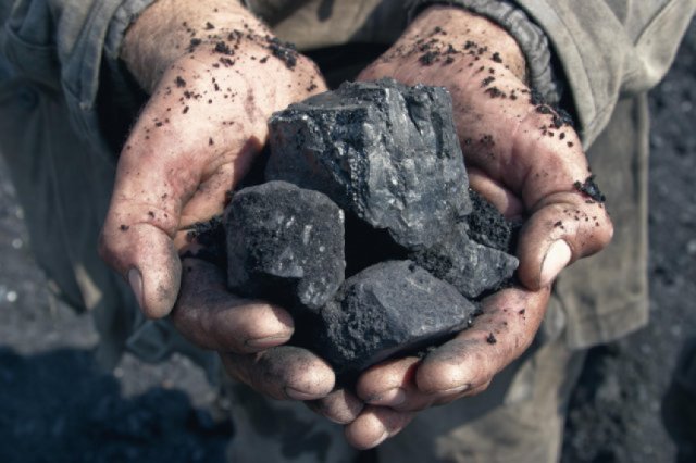 يصنف الفحم من الصخور الرسوبية العضوية