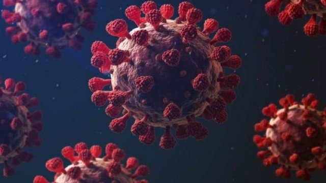 الأوبئة الأكثر فتكا بالبشرية: فيروس كورونا