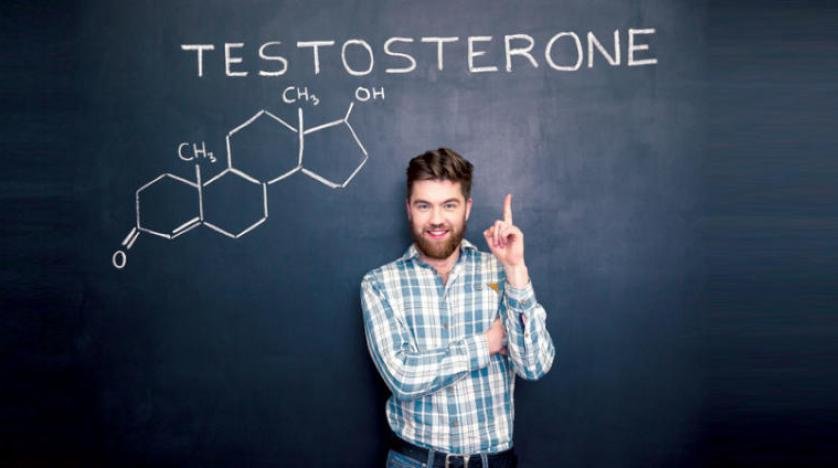 التستوستيرون الهرمون الذكري في جسم الإنسان