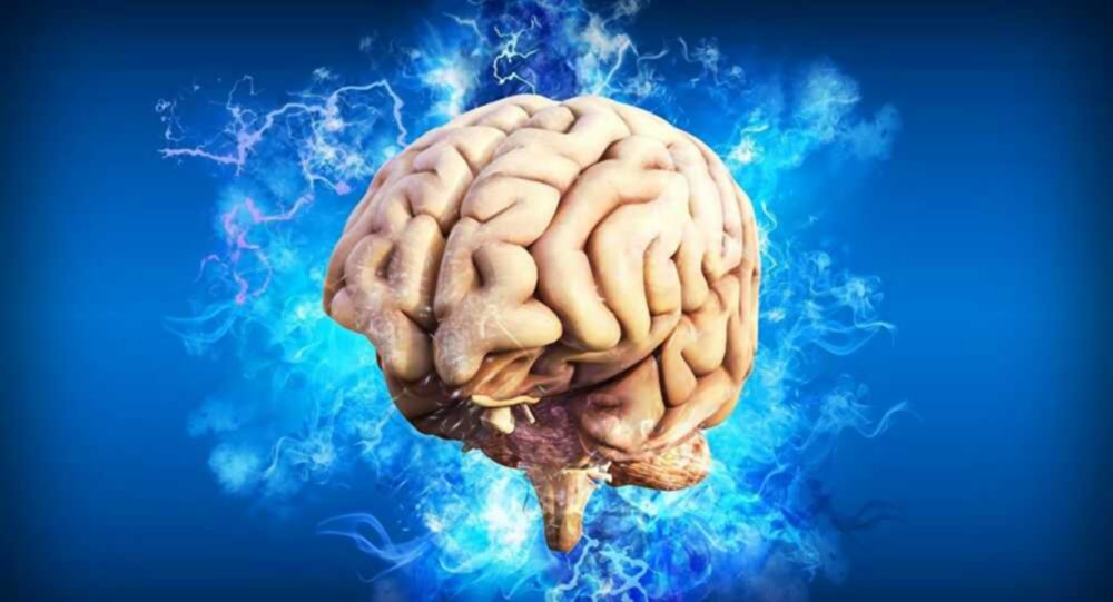 المخ أكبر وأعلى جزء في الدماغ