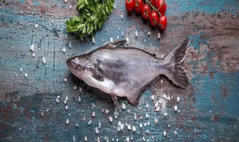 سمك الباسا اهم وأشهر الوجبات في العالم