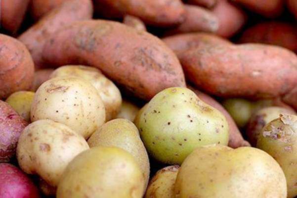 فوائد البطاطا لجسم الإنسان